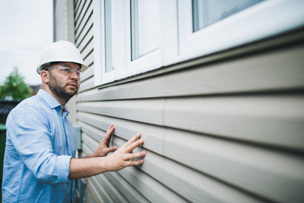 Affordable Siding Repair and Maintenance Services in Romulus, MI