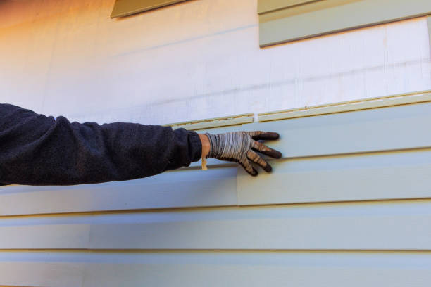 Best Custom Siding Design  in Romulus, MI